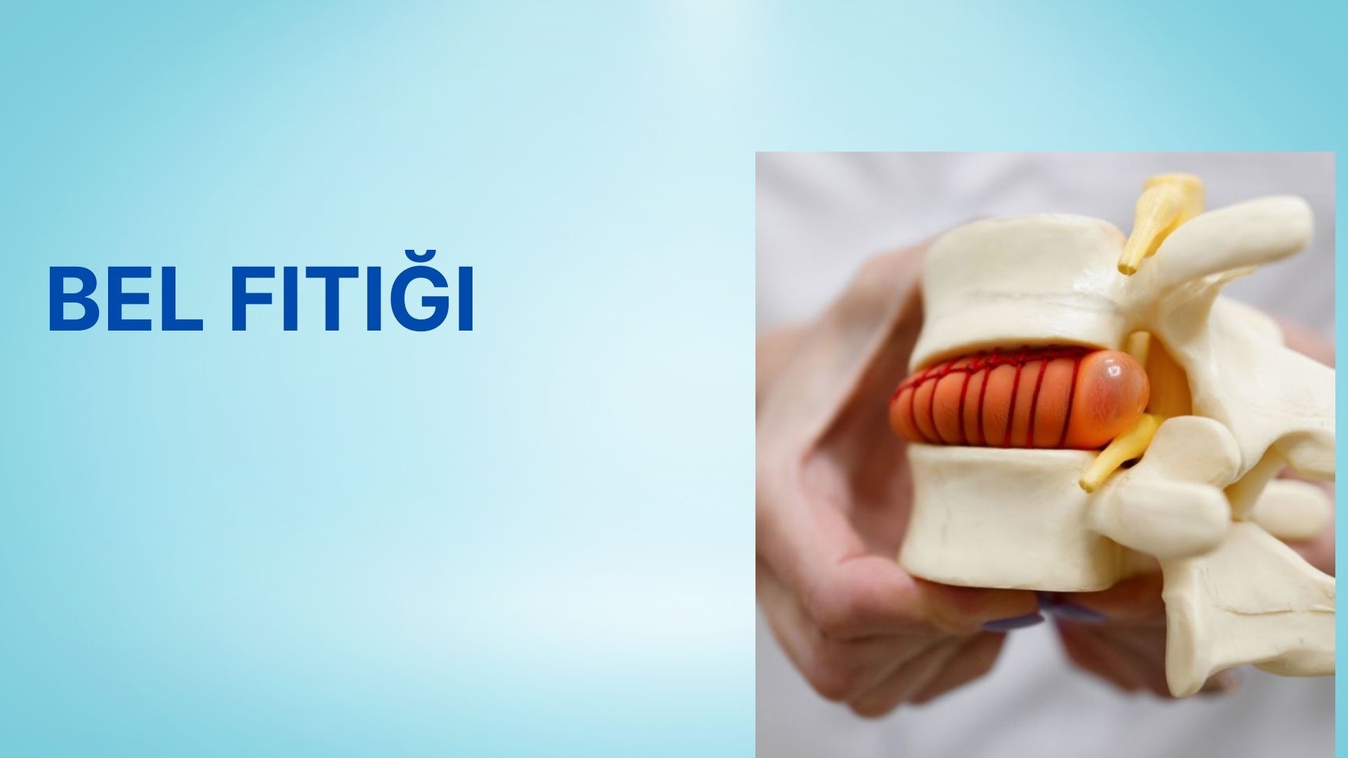Bel Fıtığı