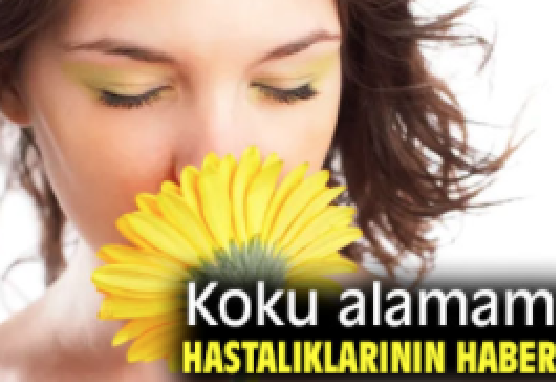 Koku Alamama Beyin Hastalığı Habercisi Olabilir