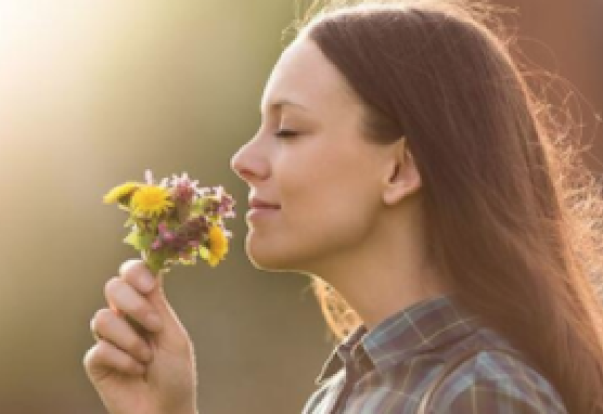 Koku alamama beyin hastalıklarının habercisi olabilir