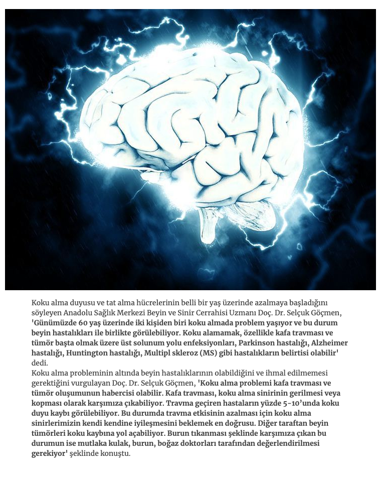Koku Alamama Beyin Hastalığı Habercisi Olabilir