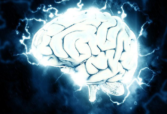 Koku Alamama Beyin Hastalığı Habercisi Olabilir